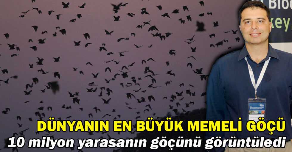 10 milyon yarasanın göçünü görüntüledi