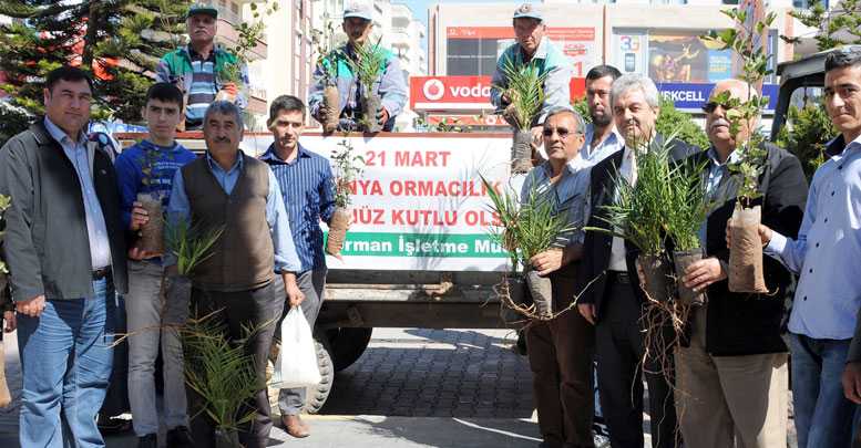 1000 fidan dağıtıldı