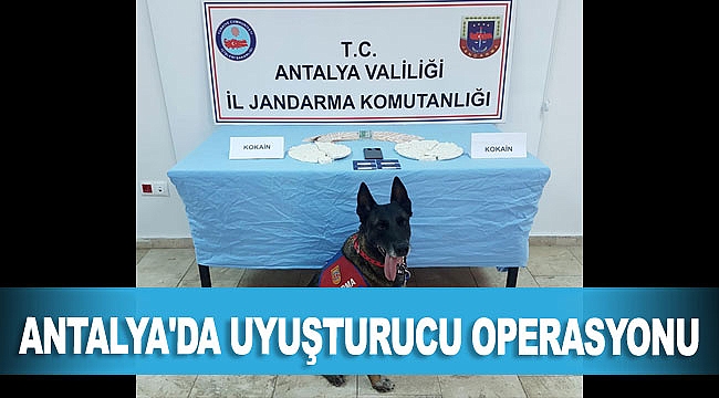 Antalya'da uyuşturucu operasyonu