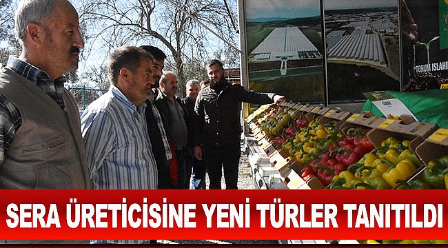 Sera üreticisine yeni türler tanıtıldı