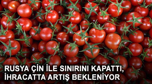 İHRACATTA ARTIŞ BEKLENİYOR