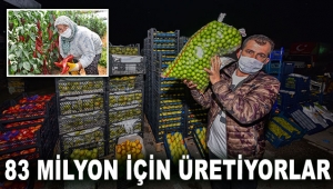 Antalya, 83 milyon için üretiyor