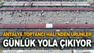 Antalya Toptancı Hali'nden ürünler günlük yola çıkıyor