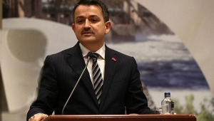 Bakan Pakdemirli açıkladı: Ödemeler bugün başlıyor