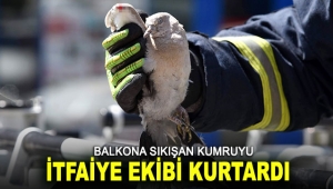 Balkona sıkışan kumruyu itfaiye ekibi kurtardı