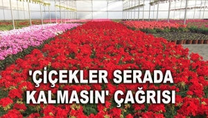 'Çiçekler serada kalmasın' çağrısı
