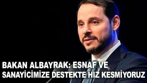 'Esnaf ve sanayicimize destekte hız kesmiyoruz'