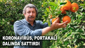 Koronavirüs, portakalı dalında sattırdı
