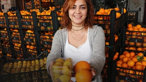 Malta eriği, üreticinin yüzünü güldürüyor