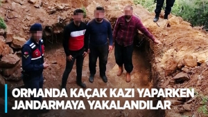Ormanda kaçak kazı yaparken jandarmaya yakalandılar