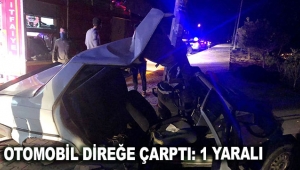 Otomobil direğe çarptı: 1 yaralı