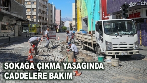 Sokağa çıkma yasağında caddelere bakım
