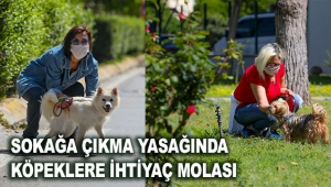 Sokağa çıkma yasağında köpeklere ihtiyaç molası