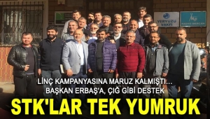 STK'LAR TEK YUMRUK