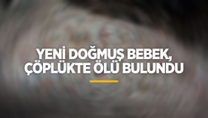 Yeni doğmuş bebek, çöplükte ölü bulundu