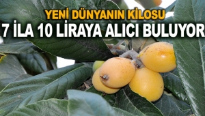 Yeni dünyanın kilosu 7 ila 10 liraya alıcı buluyor