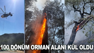 100 dönüm orman alanı kül oldu