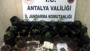 Banyoda uyuşturucu yetiştirme düzeneği