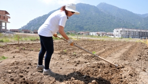 Belediyenin boş arazisini hobi bahçesine çevirdi