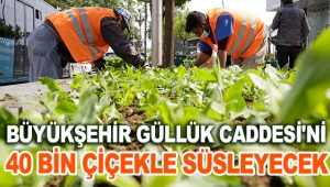 Büyükşehir Güllük Caddesi'ni 40 bin çiçekle süsleyecek