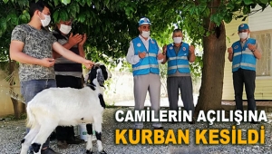 Camilerin açılışına kurban kesildi