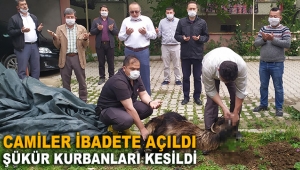 Camilerin ibadete açılmasından dolayı şükür kurbanı
