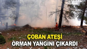 Çoban ateşi orman yangını çıkardı