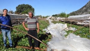 Demre'de şiddetli rüzgar seraları yerle bir etti