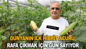 Dünyanın ilk hibrit acuru rafa çıkmak için gün sayıyor