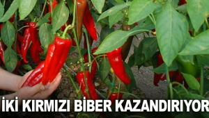 İki kırmızı biber kazandırıyor