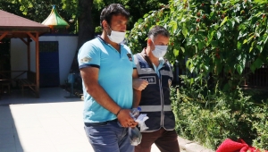 'Kargoları satmak için çaldım'