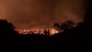 Kaş'ta orman yangını