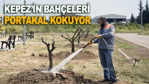 KEPEZ’İN BAHÇELERİ PORTAKAL KOKUYOR
