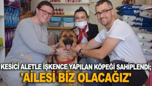 Kesici aletle işkence yapılan köpeği sahiplendi; 'Ailesi biz olacağız'