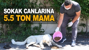 Konyaaltı, sokak canlarına 5.5 ton mama ulaştırdı