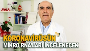 Koronavirüsün mikro RNA'ları incelenecek