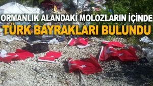 Molozların içinde Türk bayrakları bulundu