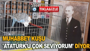 Muhabbet kuşu 'Atatürk'ü çok seviyorum' diyor