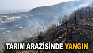 Tarım arazisinde yangın