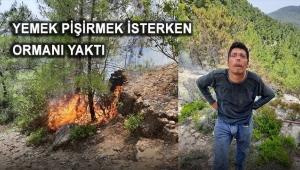 Yemek pişirmek isterken ormanı yaktı
