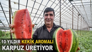 10 yıldır kekik aromalı karpuz üretiyor