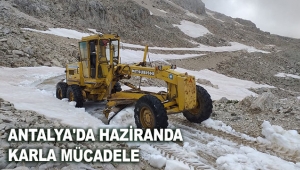 Antalya'da haziranda karla mücadele