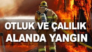 Antalya'da otluk ve çalılık alanda yangın