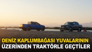 Kaplumbağa yuvalarının üzerinden traktörle geçtiler