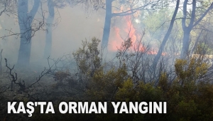 Kaş'ta orman yangını