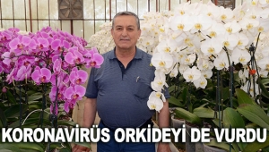 Koronavirüs orkideyi de vurdu