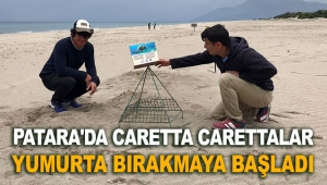 Patara'da caretta carettalar yumurta bırakmaya başladı