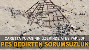PES DEDİRTEN SORUMSUZLUK