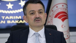 Üreticilere 886 milyon lira destek ödemesi başlıyor