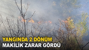 Yangında 2 dönüm makilik zarar gördü